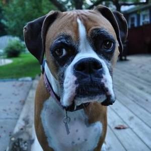 Meet your Posher, Jonathan